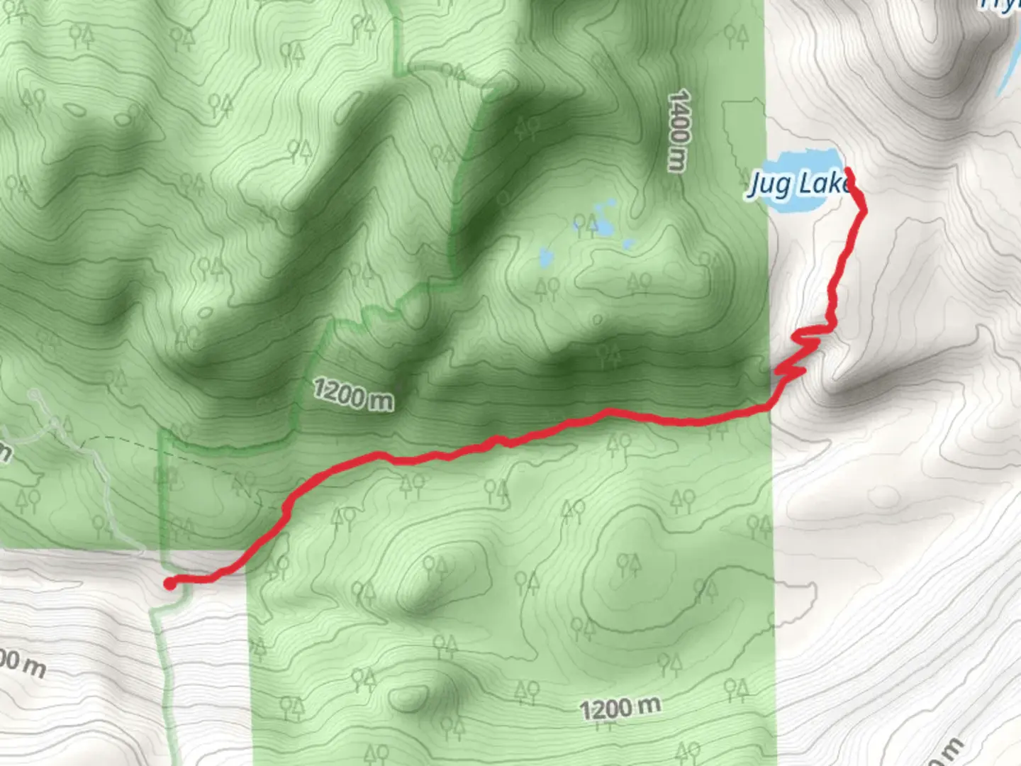 An image depicting the trail Jug Lake via Cowlitz Trail and its surrounding area.