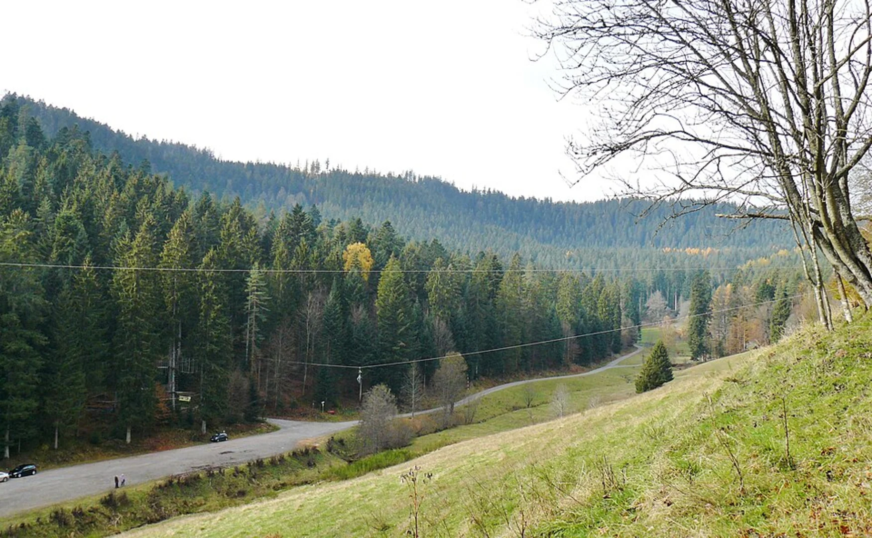 An image depicting the trail Waldklettergarten and Todtenwiesle Seeburg Loop and its surrounding area.