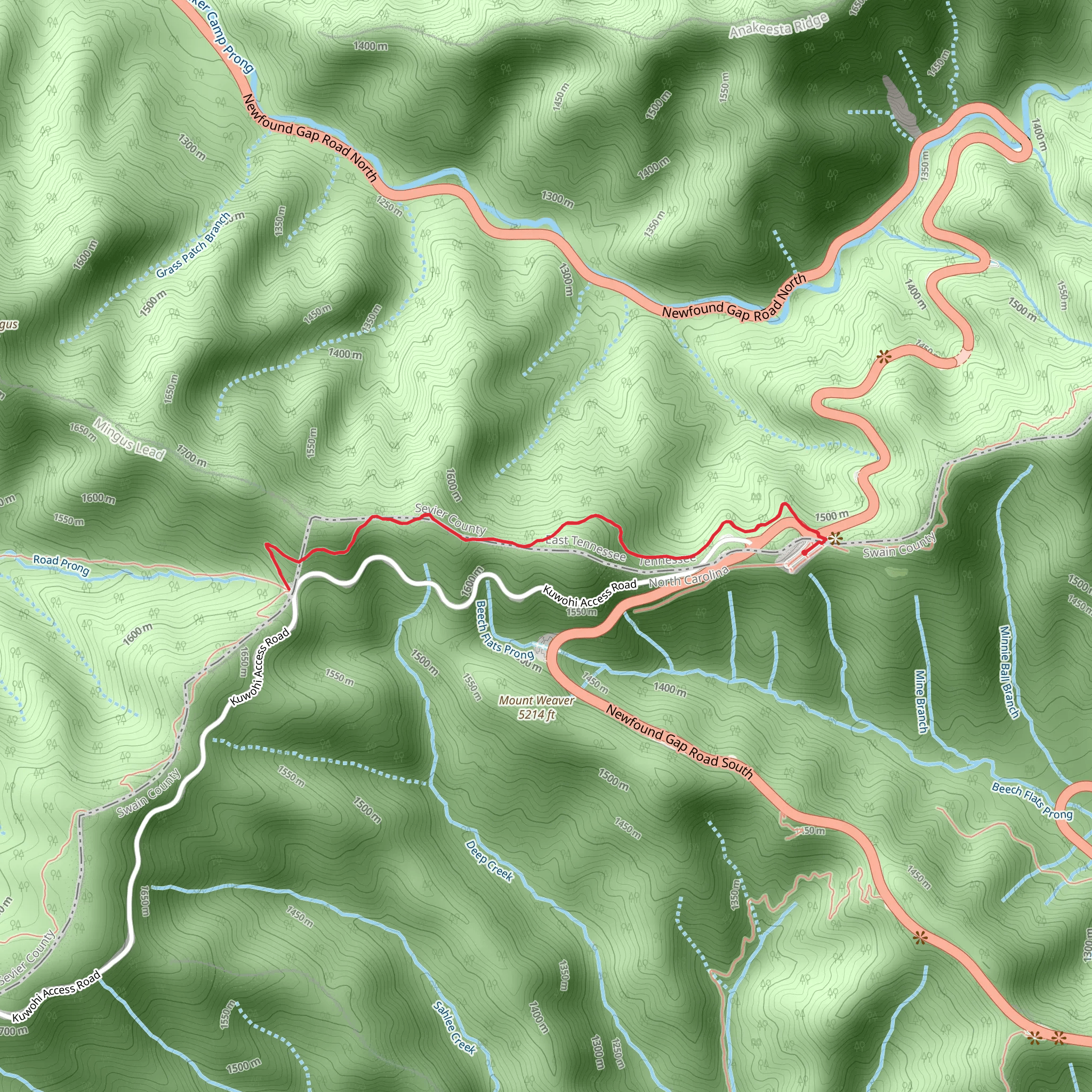 Appalachian Trail and Indian Gap mobile static map