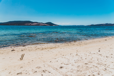 Coningham Clifftop Track