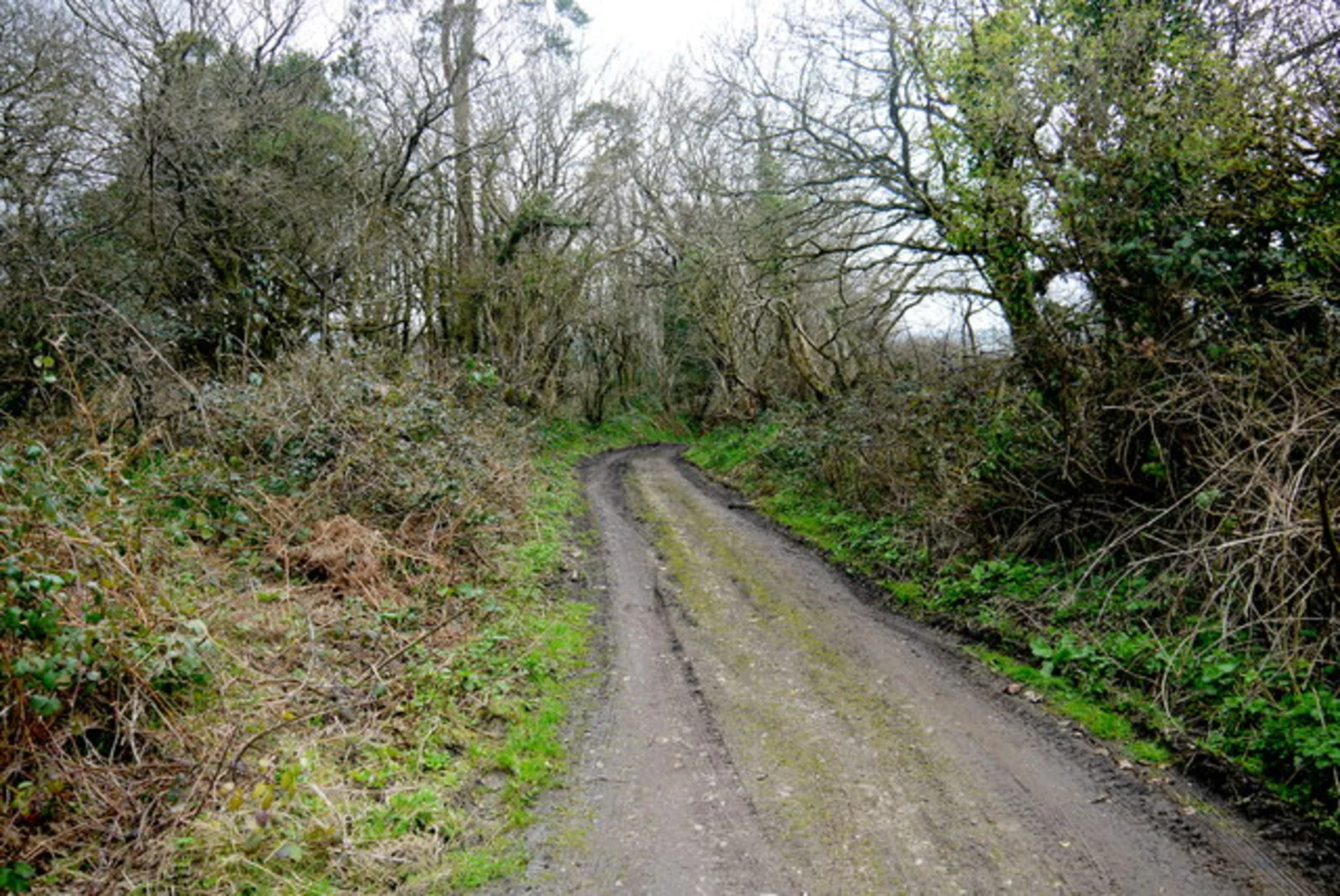 An image depicting the trail Horn Hill and Clandon Hill Walk and its surrounding area.