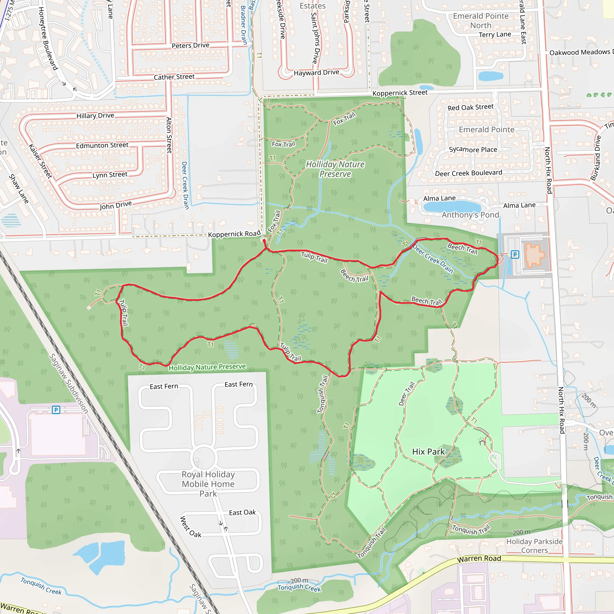 Tulip and Beech Loop Trail mobile static map
