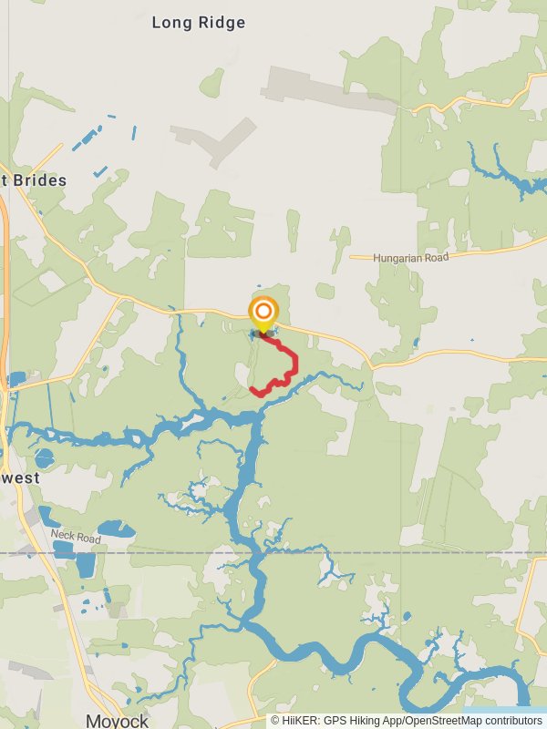 Molly Mitchell Trail