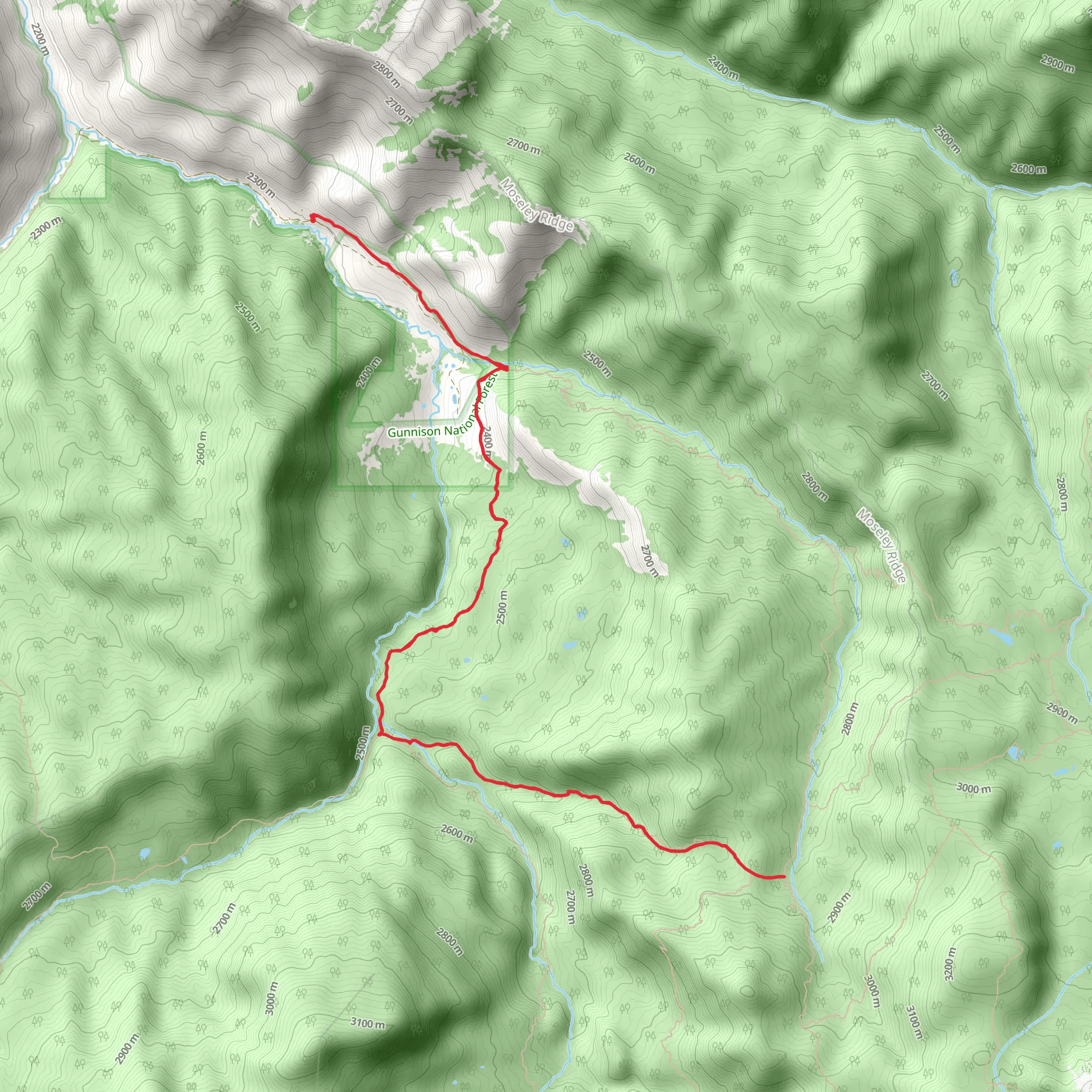 Peter Creek Trail via Little Robinson Trail and Kaufman Creek mobile static map