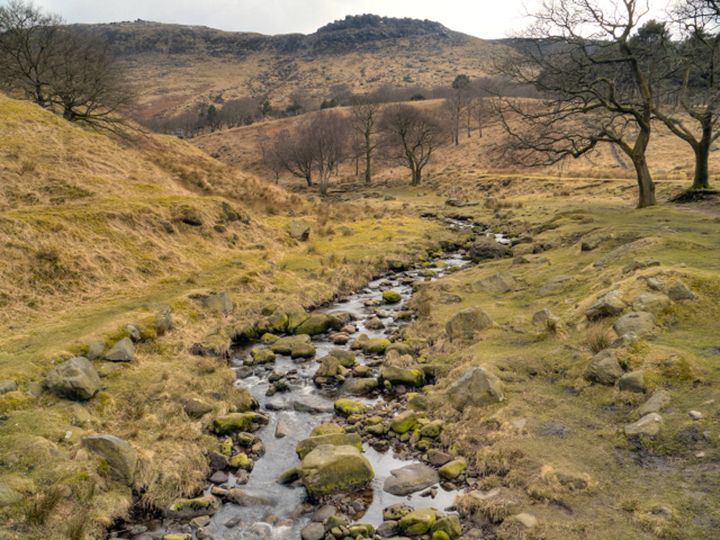 An image depicting the trail Charnel Stones, Rob's Rocks and Dovestone Reservoir Loop and its surrounding area.
