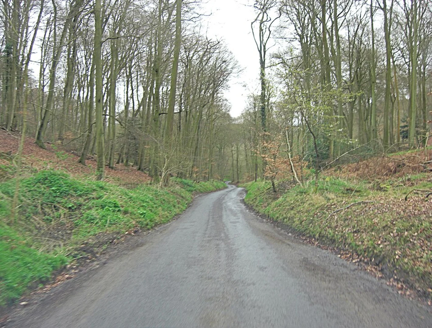 An image depicting the trail Park Wood and Mapledurham Country Park Loop and its surrounding area.