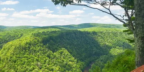 An image depicting the trail Pine Creek Rail Trail and its surrounding area.