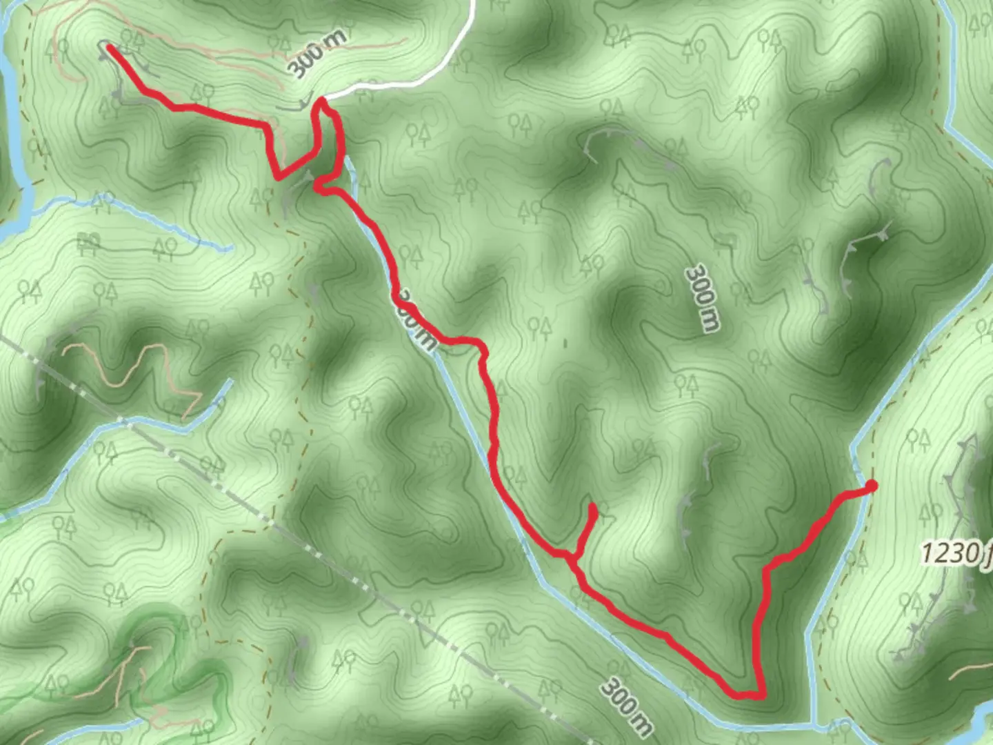 An image depicting the trail Powder Mill Branch Trail and its surrounding area.