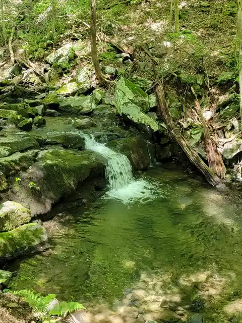 An image depicting the trail Michael Ciaiola Conservation Area Loop Trail and its surrounding area.