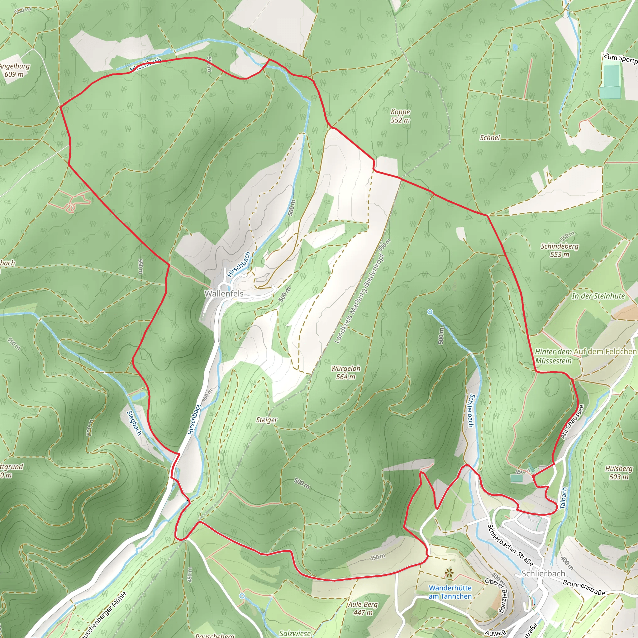 Wallenfels Loop via Dachsberg Schanze mobile static map