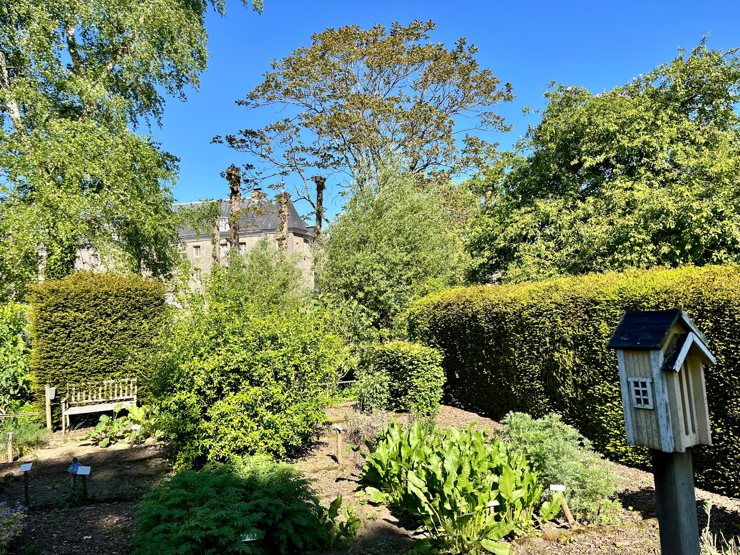 An image depicting the trail Kasteel Holtmuehle, Jammerdaalsche Heide and Groeve Wambach Loop and its surrounding area.