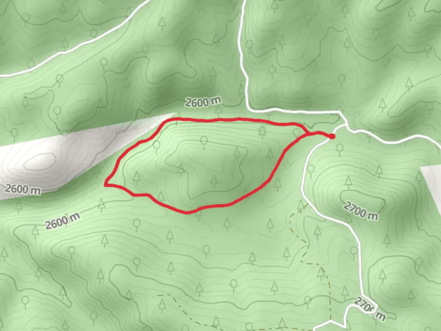An image depicting the trail Camp Creek Loop Trail and its surrounding area.