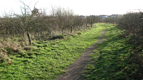 An image depicting the trail Bell's Close and Jubilee Wood Loop and its surrounding area.