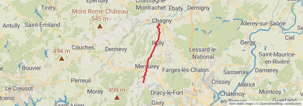 Camino Strasbourg-Saint Jean Pied de Port via Le Puy stage 26 Map