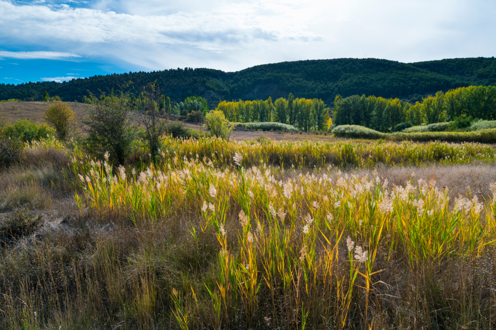 An image depicting the trail Seven Counts Castle Route PR CU 90 and its surrounding area.