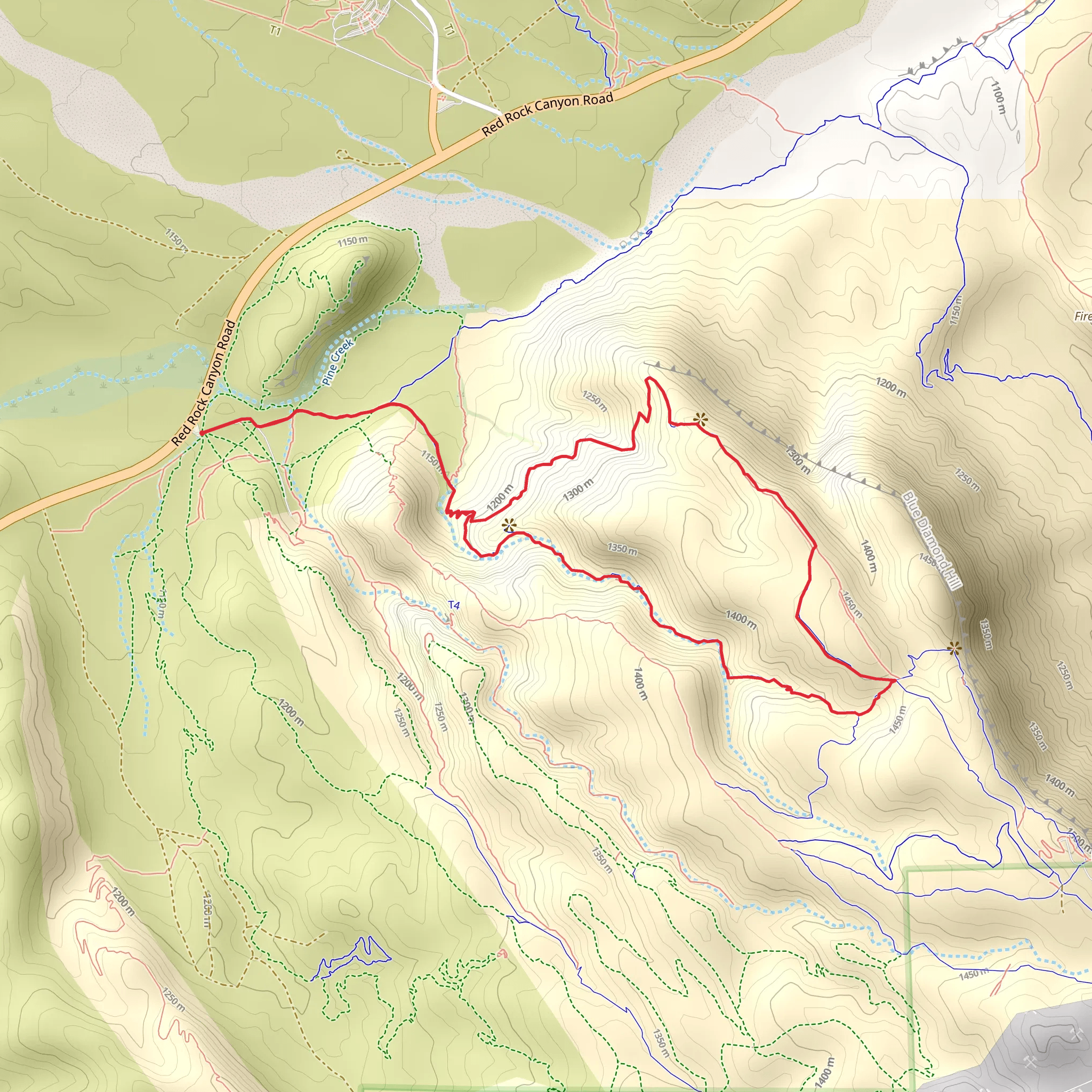 Bone Shaker, Bob Gnarly and Bomb Voyage Loop mobile static map