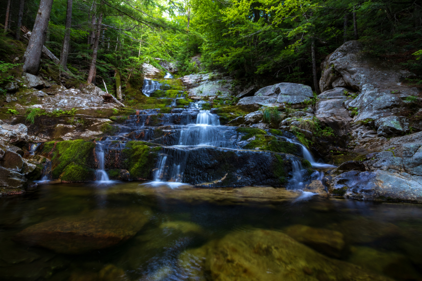 An image depicting the trail Winniweta Falls Trail and its surrounding area.