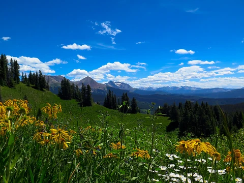 An image depicting the trail Eagle Peak Trail and its surrounding area.