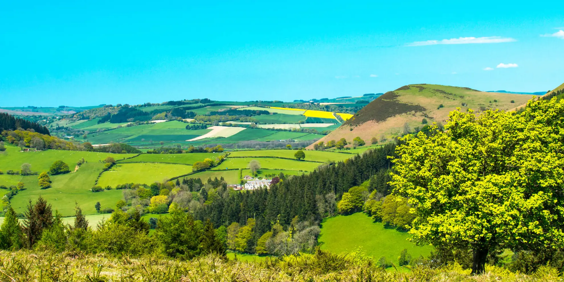 An image depicting the trail The Hergest Ridge from Kington and its surrounding area.