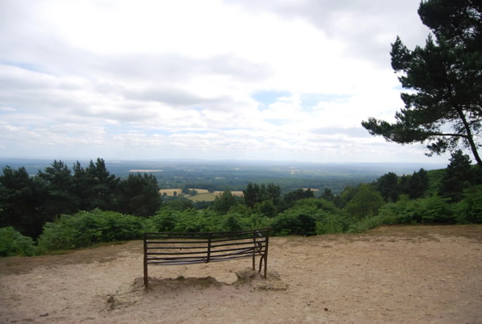 An image depicting the trail Pitch Hill, Wykehurst, Winterfold Hill and teynards Hill Loop and its surrounding area.