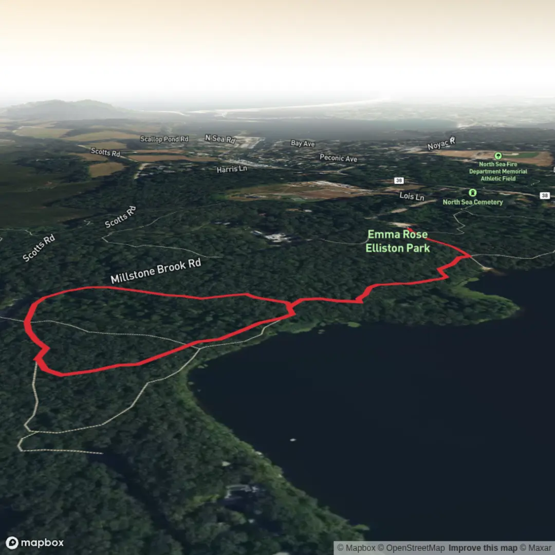 An image depicting the trail Big Fresh Pond Loop via Paumanok Path Loop and its surrounding area.