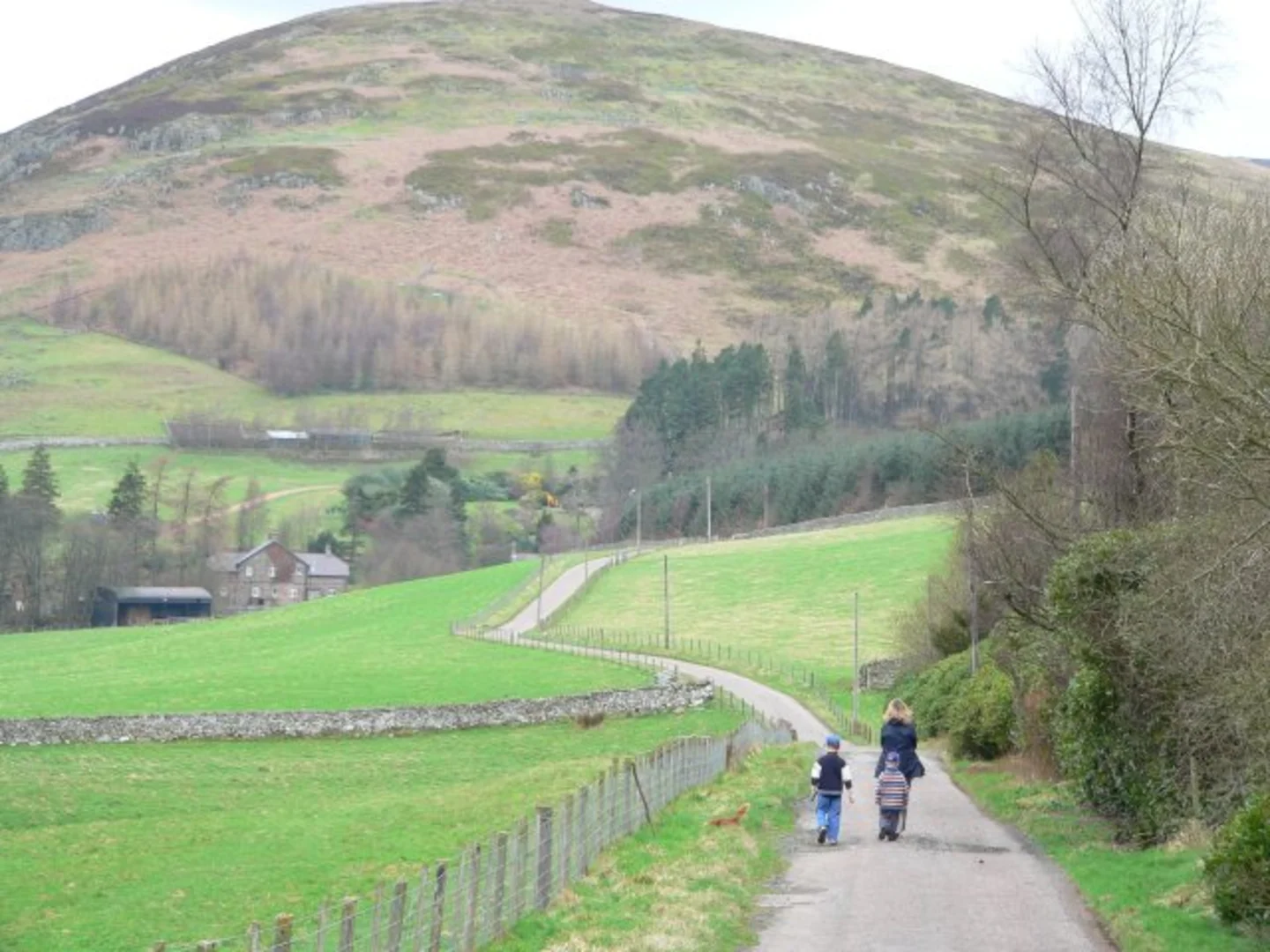 An image depicting the trail Linhope Spout Waterfall Walk and its surrounding area.