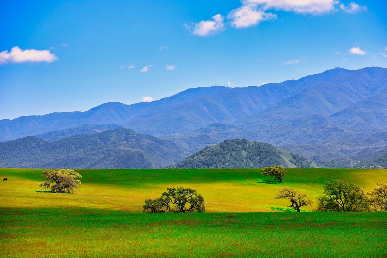 An image depicting the trail Parker Mesa Overlook Trail and Santa Ynez Loop Trail and its surrounding area.