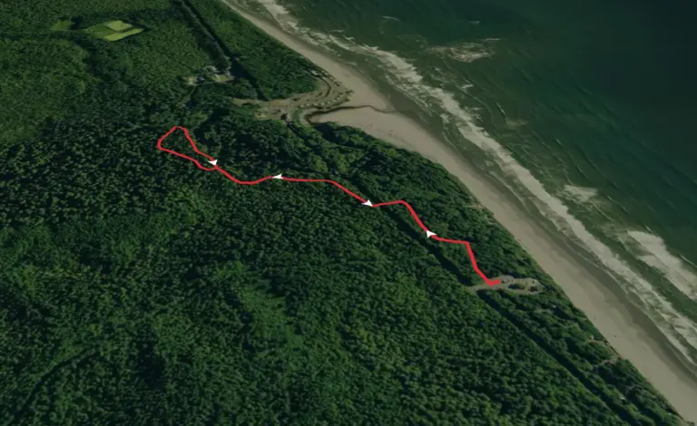 An image depicting the trail Kalaloch Creek Nature Trail and its surrounding area.