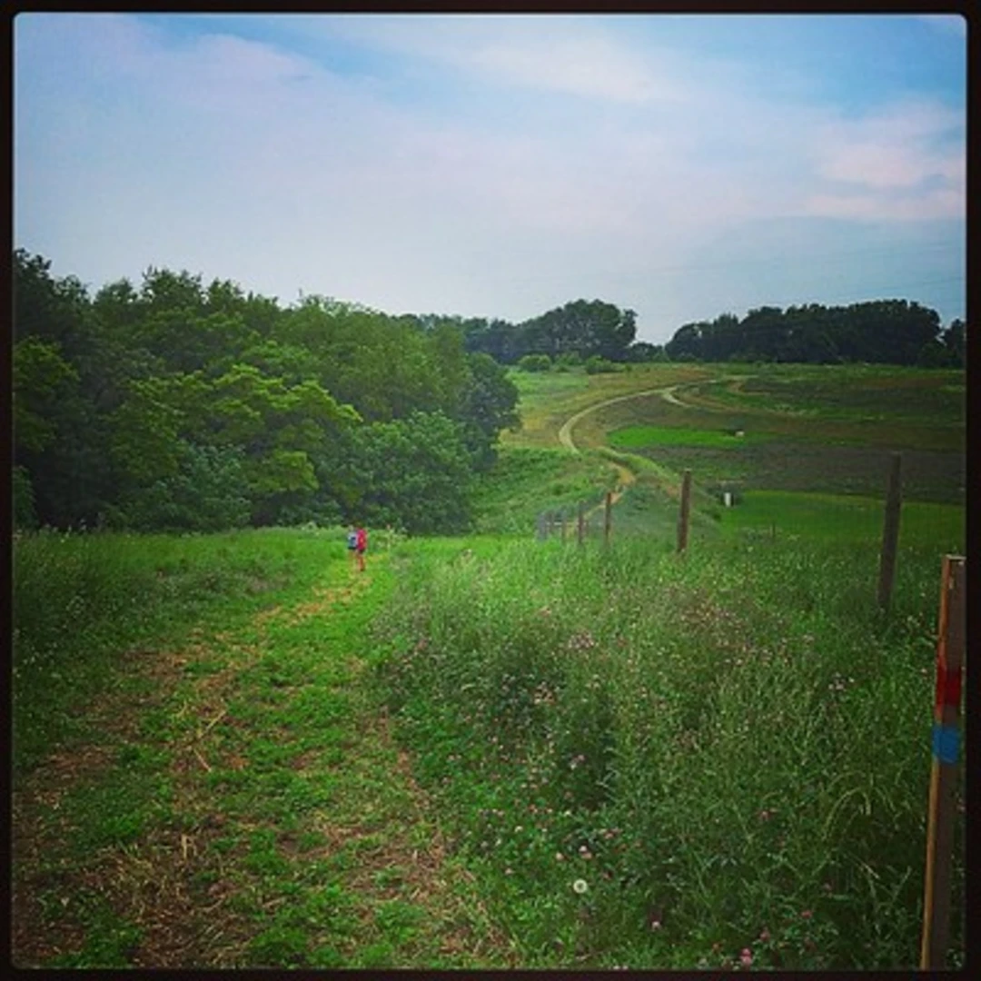 An image depicting the trail Chestnut Grove Natural Area Trails Loop and its surrounding area.