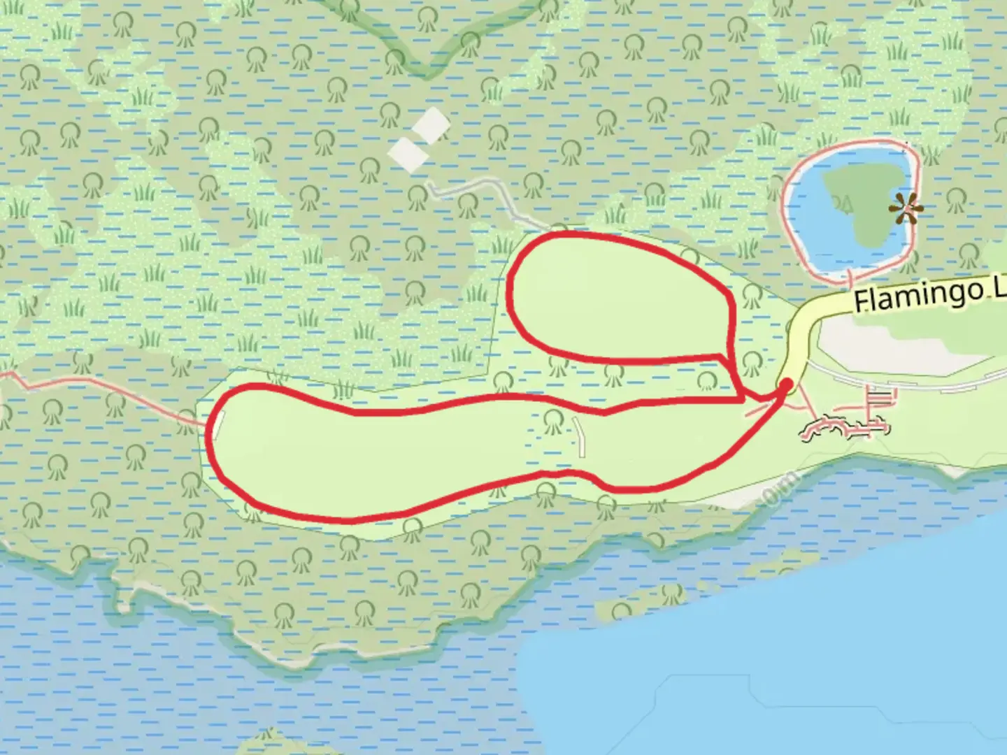An image depicting the trail Flamingo Campground Loop and its surrounding area.