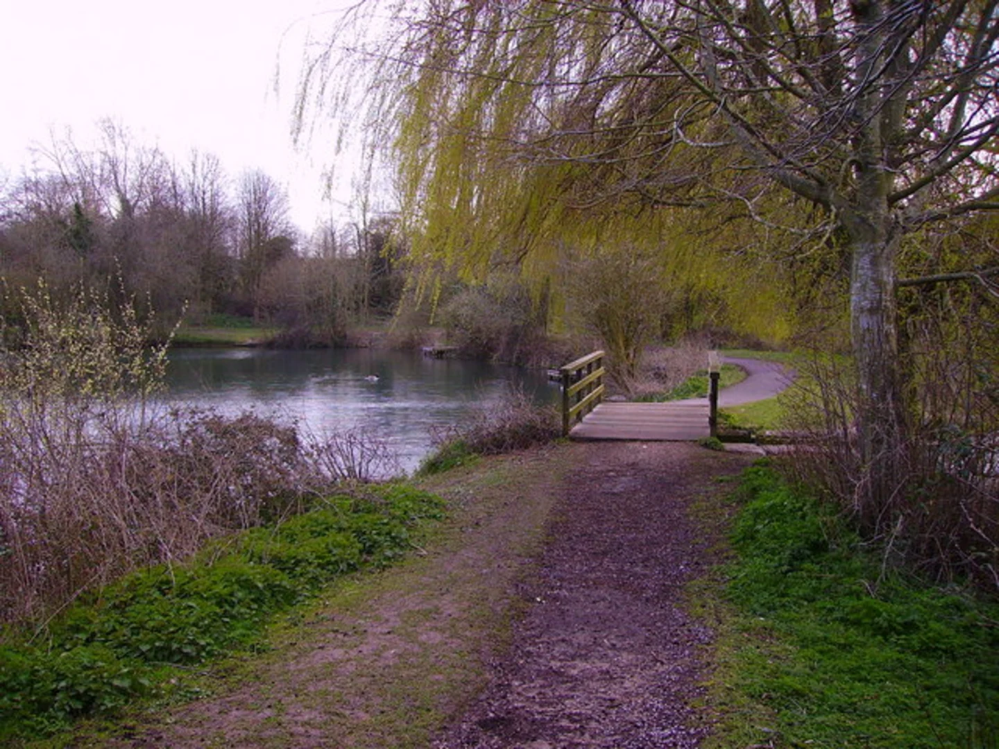 An image depicting the trail Penton Park Loop and its surrounding area.