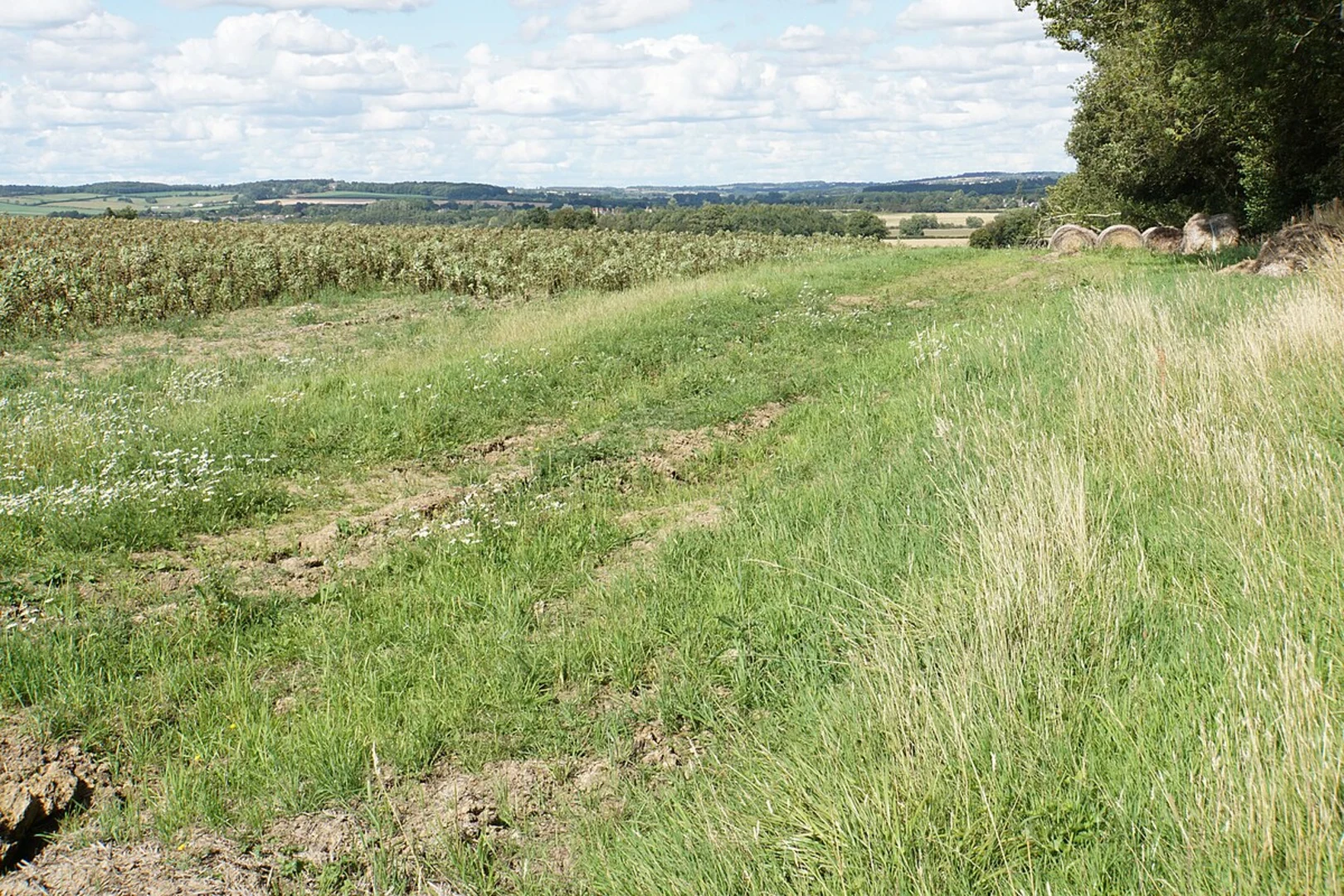 An image depicting the trail Bould and Foxholes Nature Reserve Loop and its surrounding area.