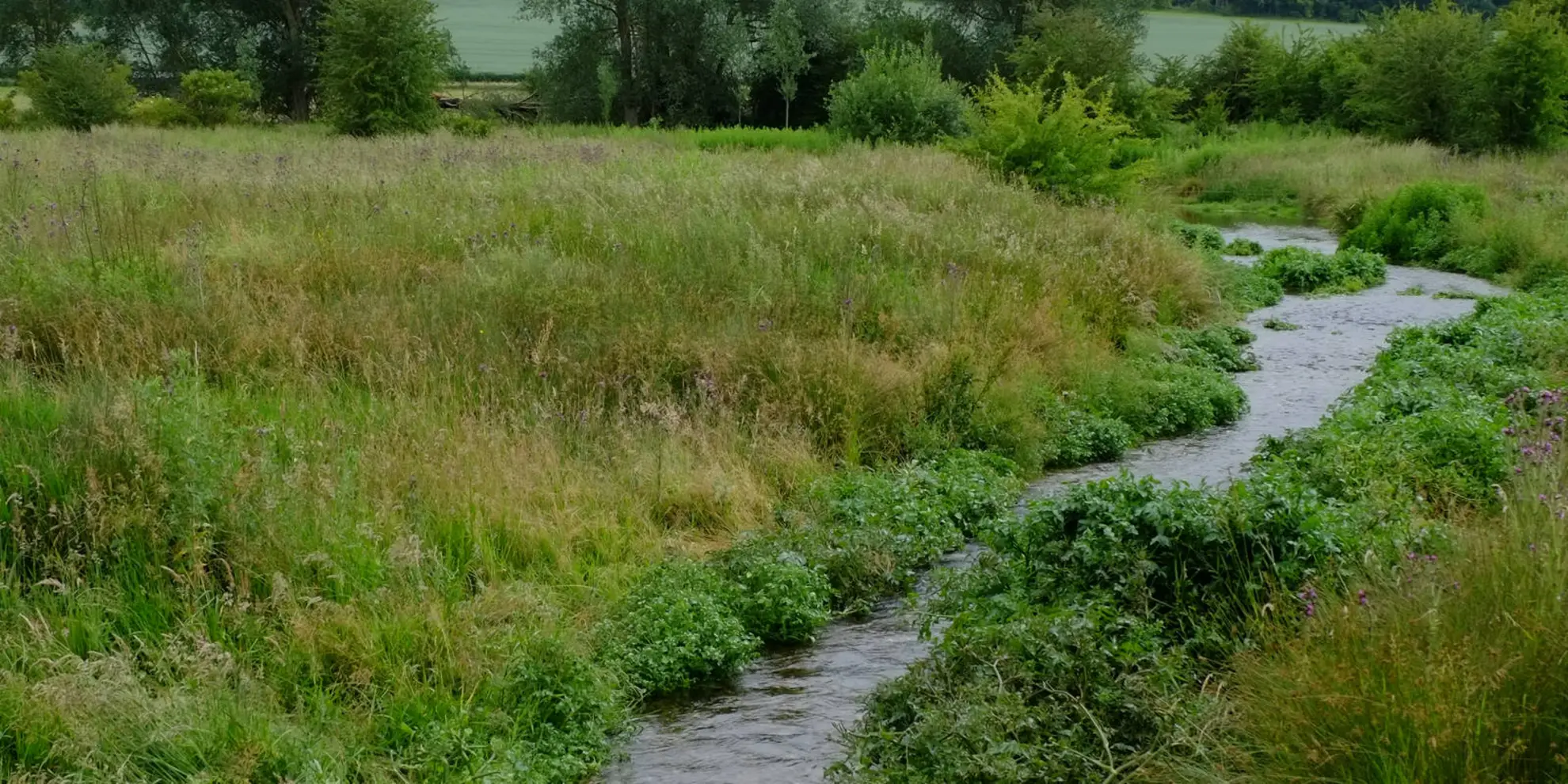 An image depicting the trail Great Gaddesden from Jockey End and its surrounding area.