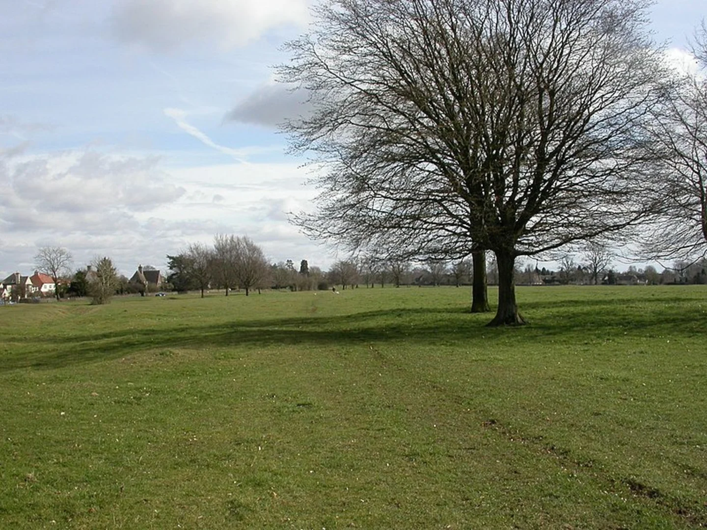 An image depicting the trail Minchinhampton and Box and its surrounding area.