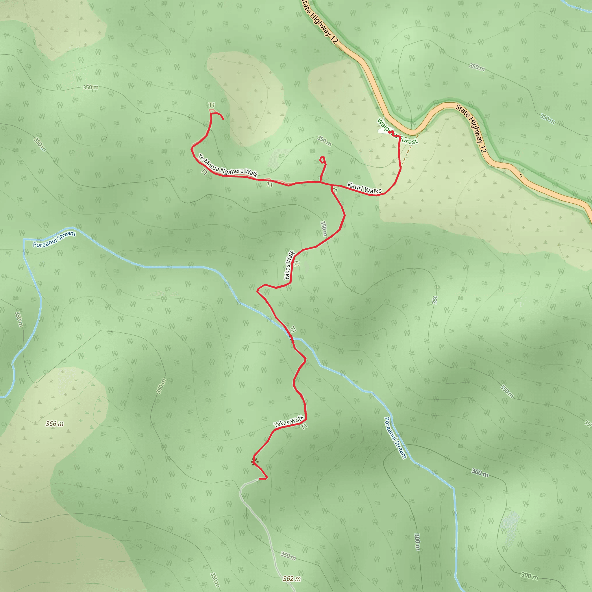 Waipoua Forest Trail mobile static map