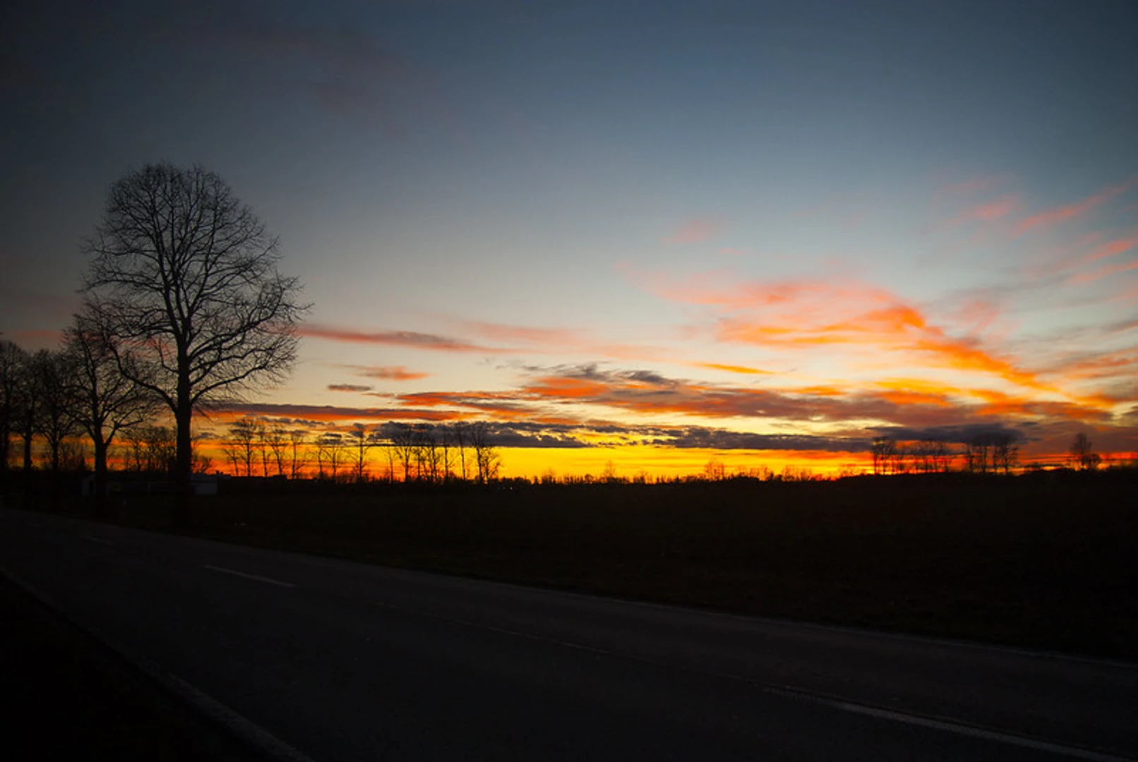 An image depicting the trail Berglwald Loop via Holzhackerstraße and its surrounding area.