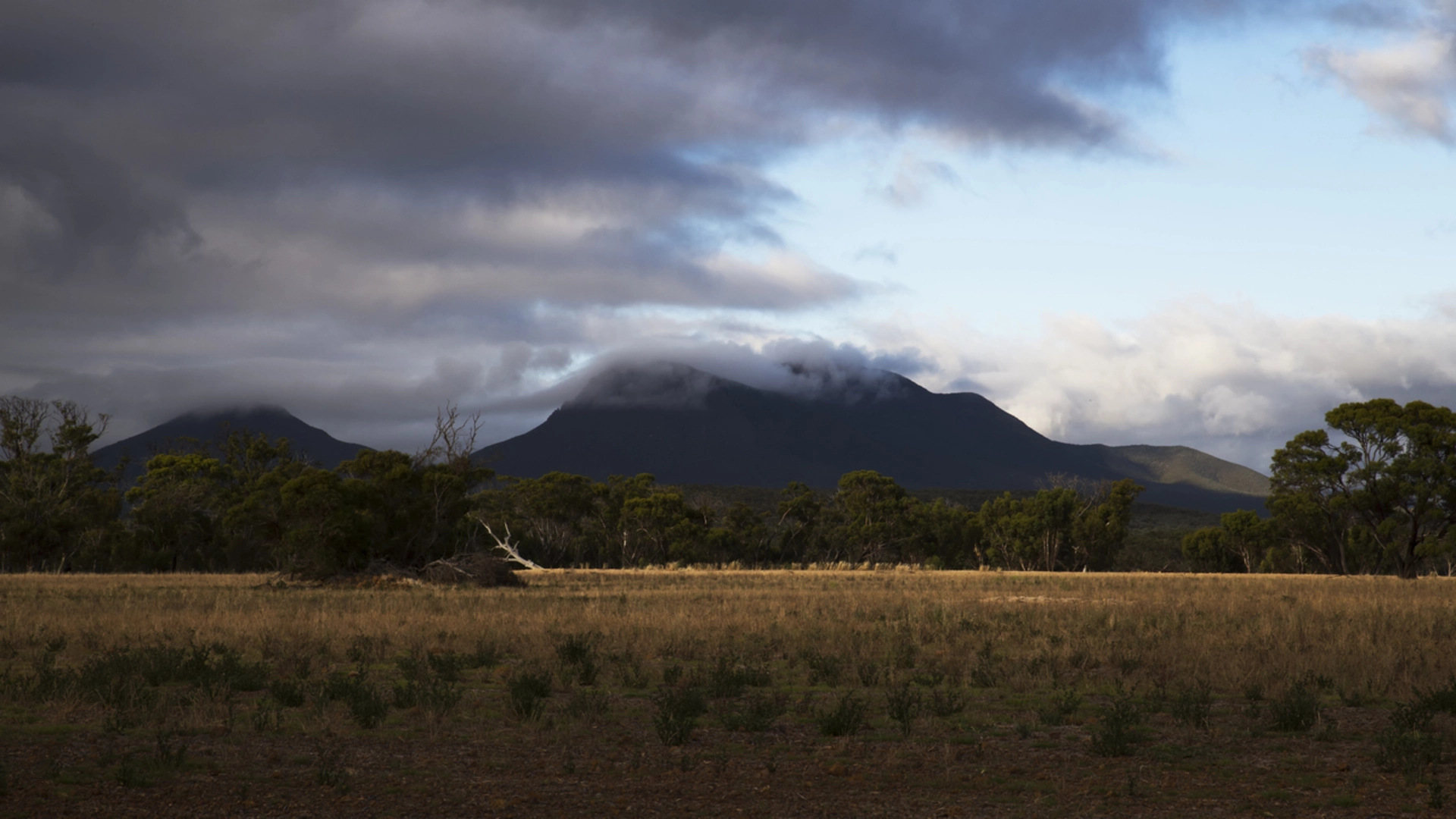 An image depicting the trail Mt Trio Walk and its surrounding area.
