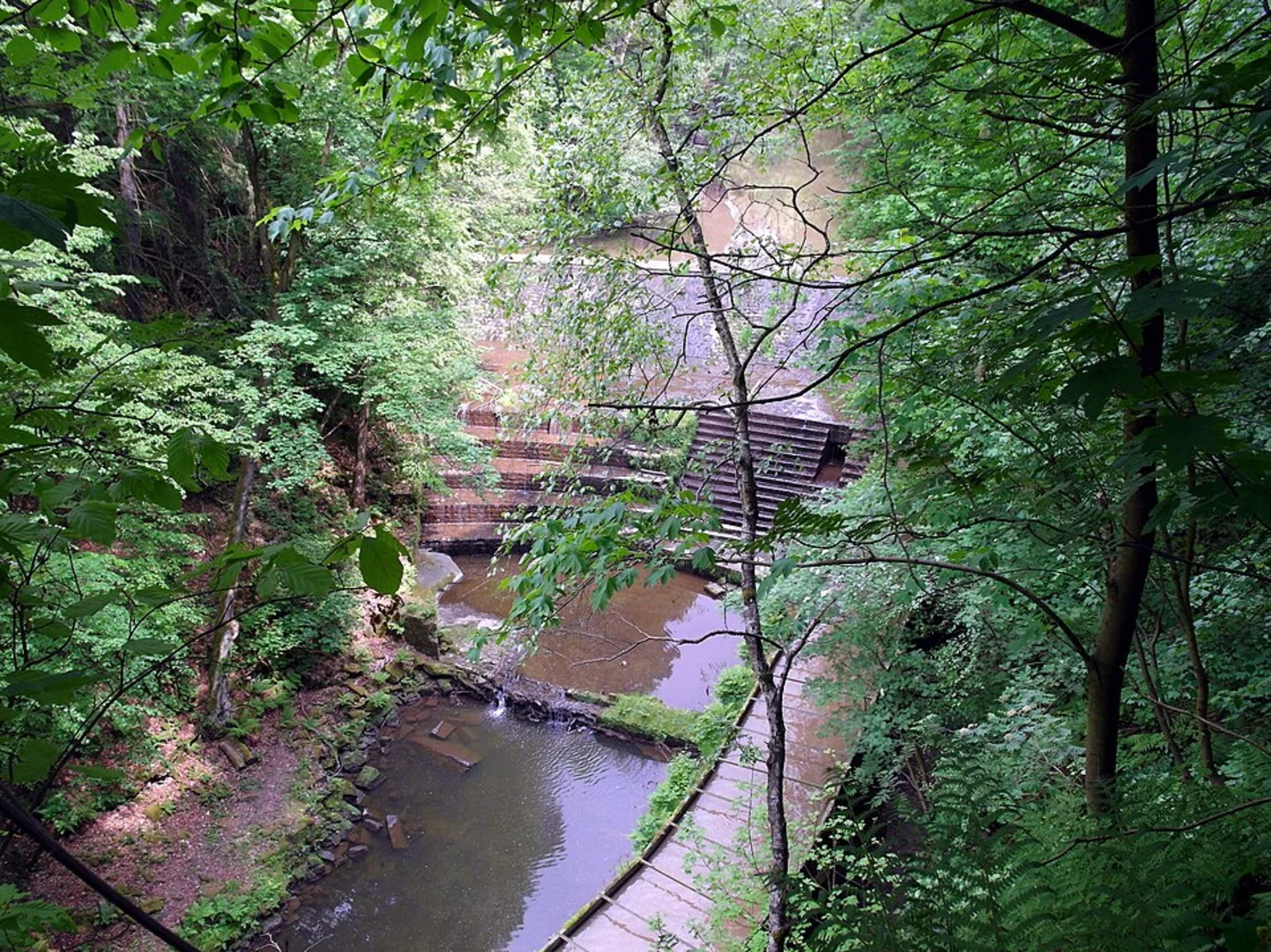 An image depicting the trail Wesenitztalweg and Wesenitz Loop and its surrounding area.