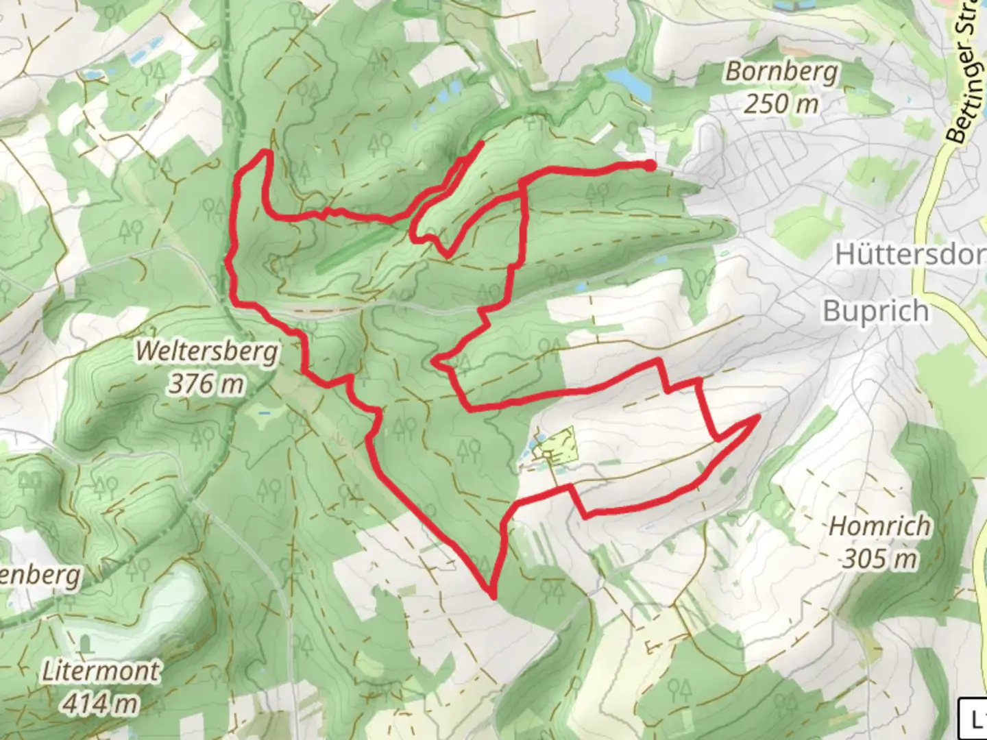 An image depicting the trail Huttersdorf Forst Loop and its surrounding area.