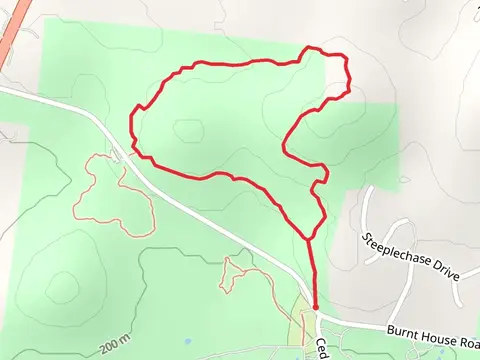 Cedar Forest Loop Trail