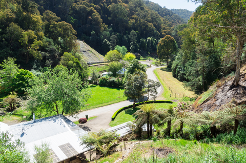 Walhalla to Britannia Creek Circuit Trail