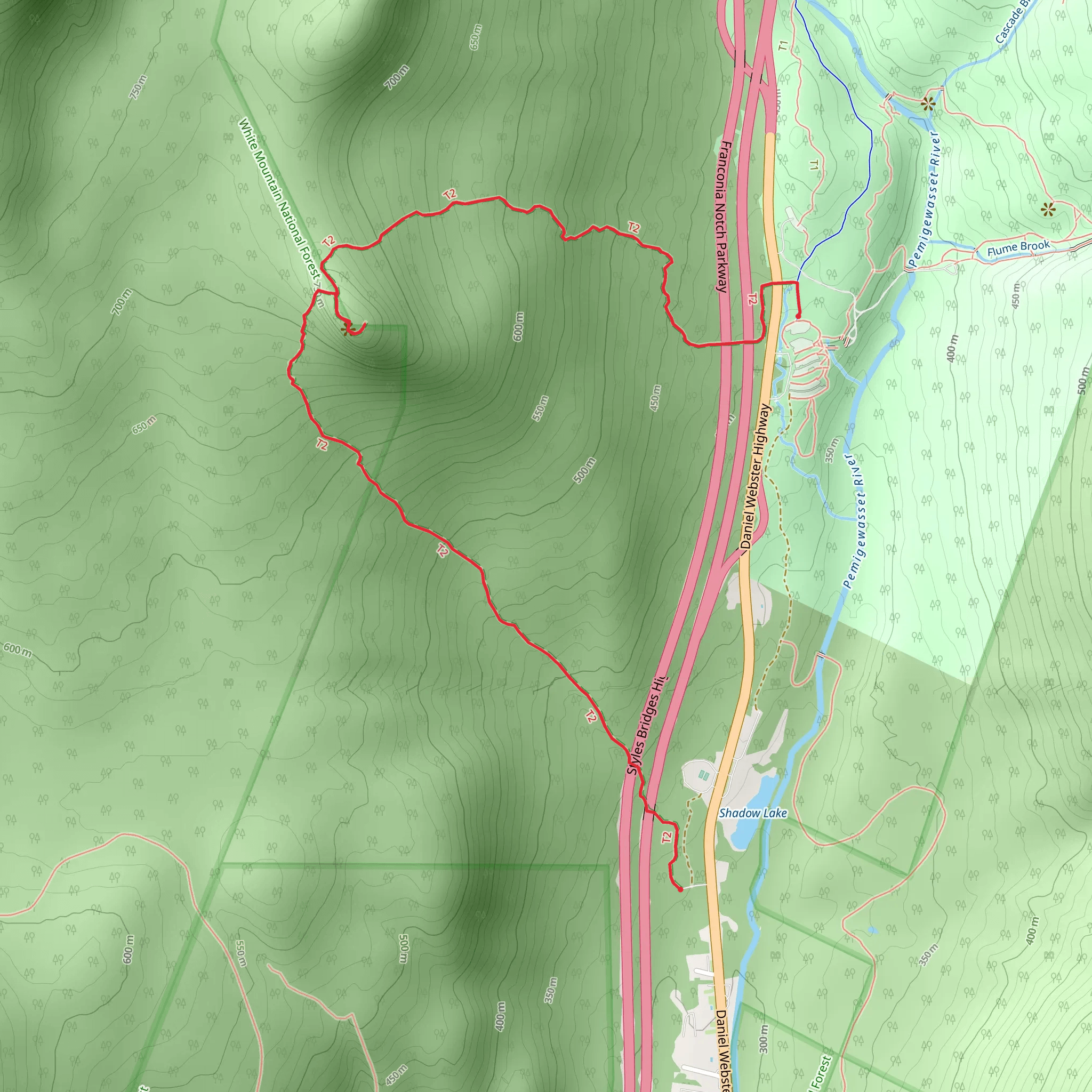 Mount Pemigewasset via Indian Head Trail mobile static map