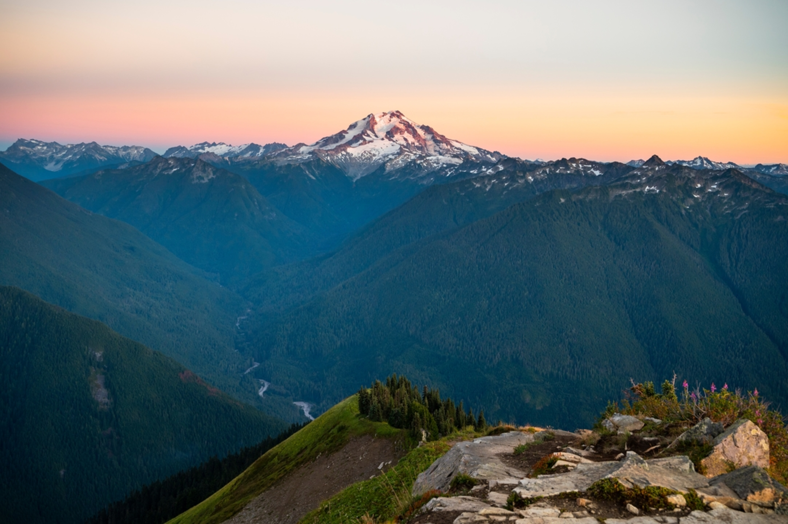 An image depicting the trail Upper Suiattle River Trail via Suiattle River Trail and its surrounding area.