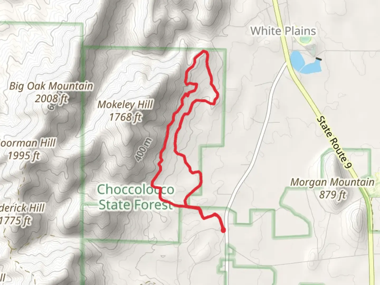 An image depicting the trail Iron Legs Loop and its surrounding area.