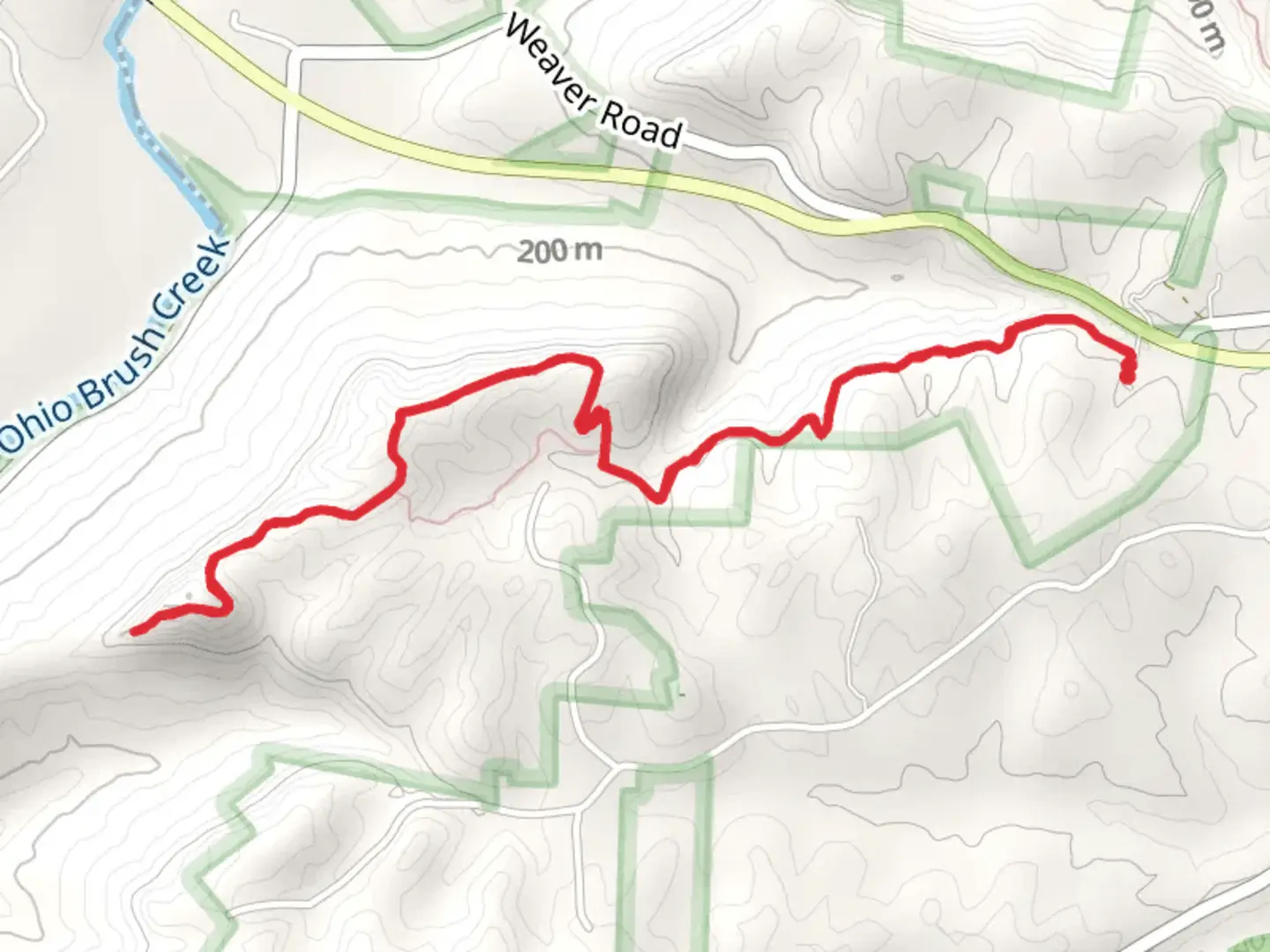 An image depicting the trail Buzzardroost Trail and its surrounding area.