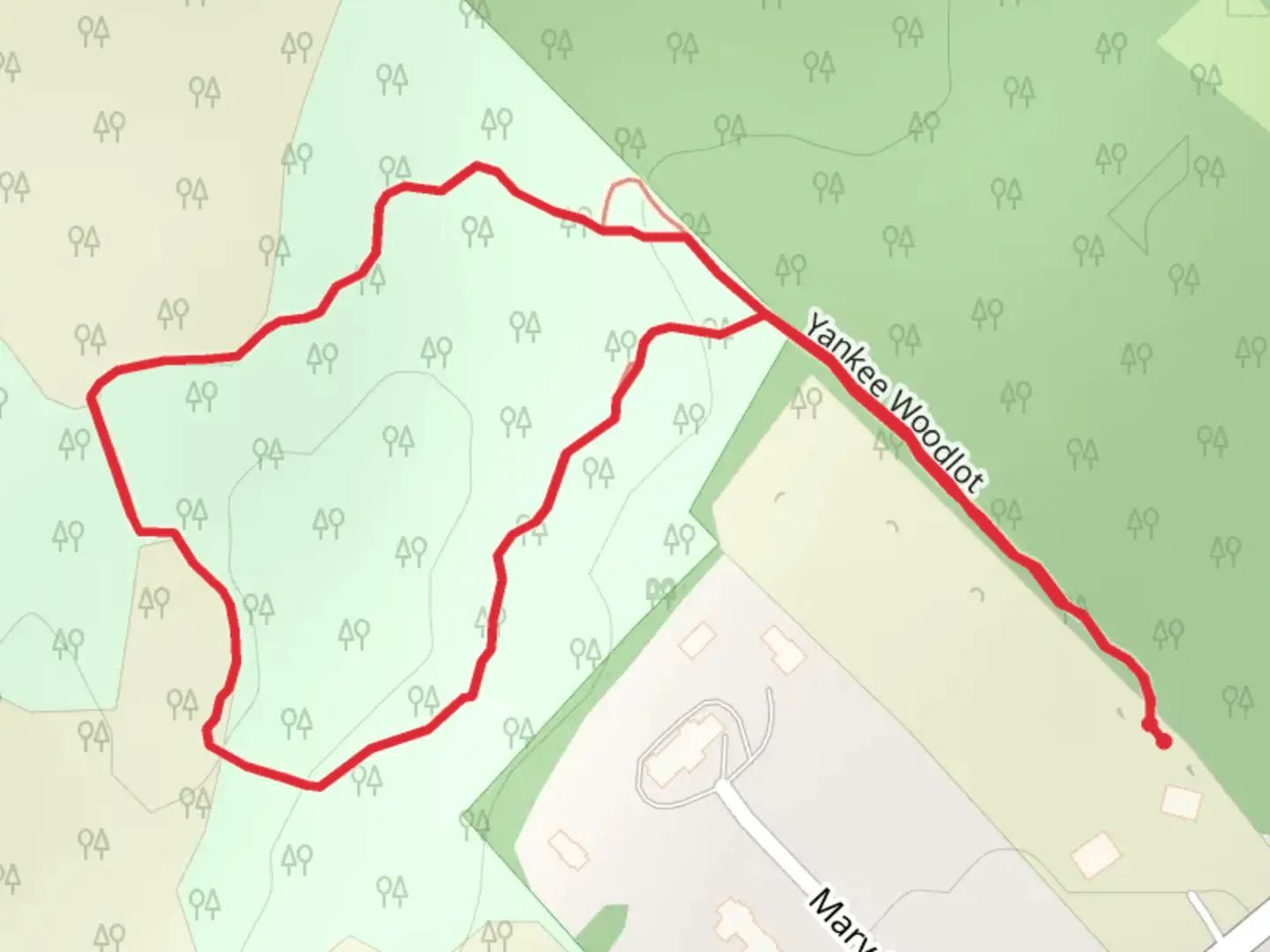 An image depicting the trail Yankee Woodlot Loop and its surrounding area.