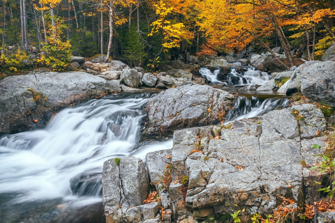 An image depicting the trail Old Jackson Road Trail and its surrounding area.