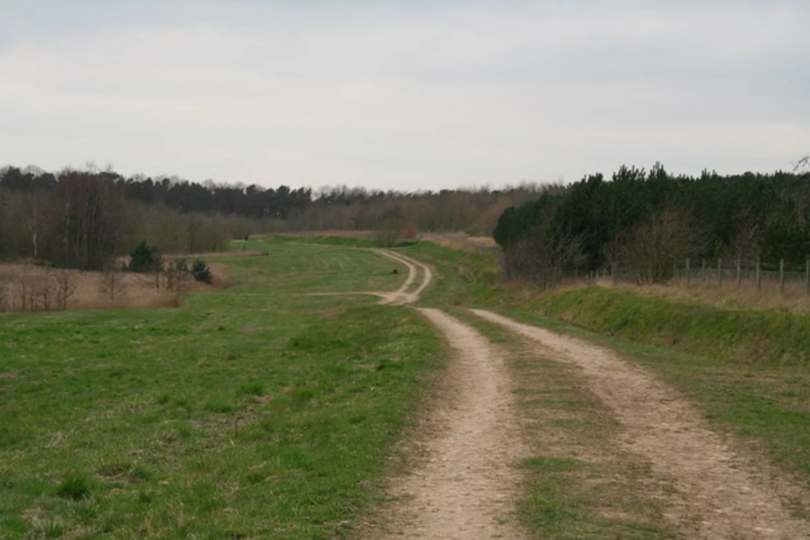 An image depicting the trail Bevercotes Pit Wood Loop and its surrounding area.