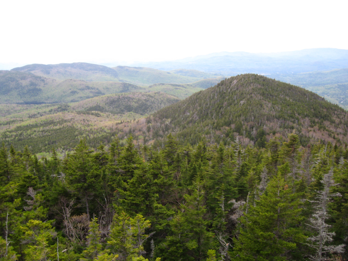 An image depicting the trail Old Path Trail via Doublehead Trail and its surrounding area.