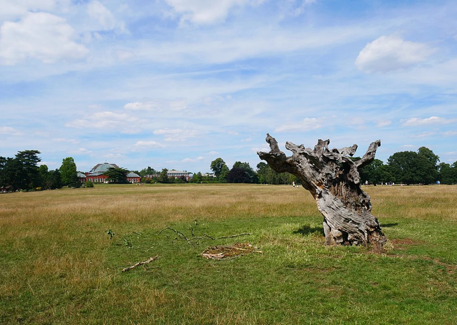 An image depicting the trail Hall Place to Mottingham Walk and its surrounding area.
